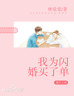 我為閃婚買了單小說