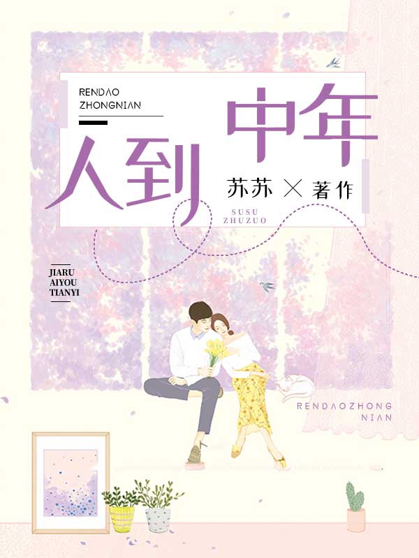 人到中年小說