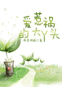 愛惹禍的大丫頭小說