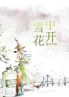 雪中花是哪部電視劇