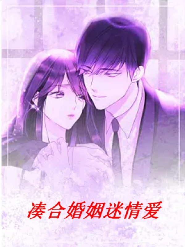 湊合式婚姻小說