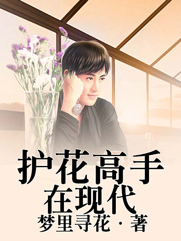 護花高手小說